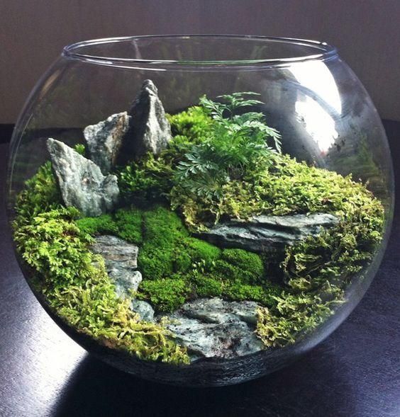03-foret.jpg