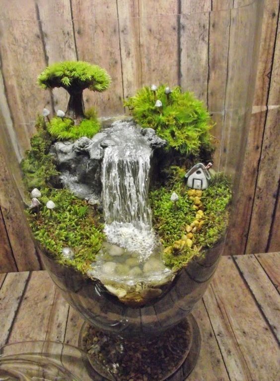réaliser de superbes terrariums