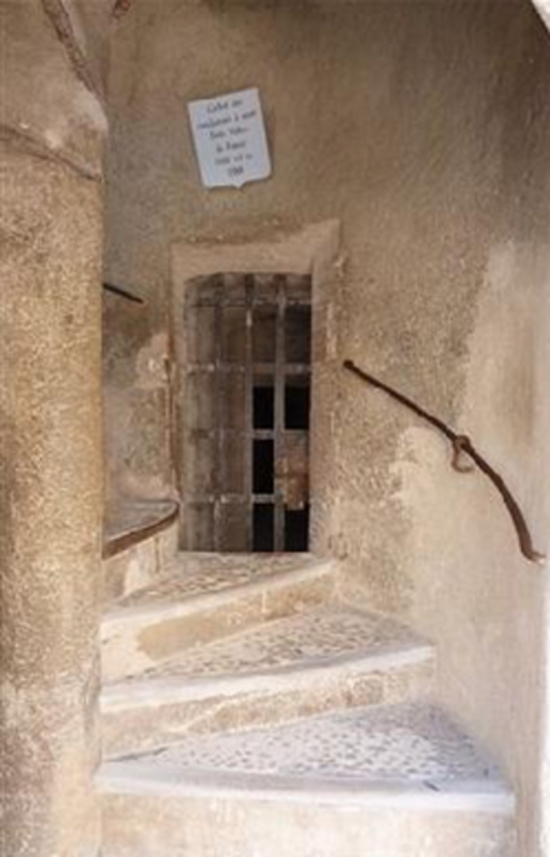 if-porte-cacho.png